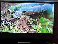 Review Image by William W. William W.