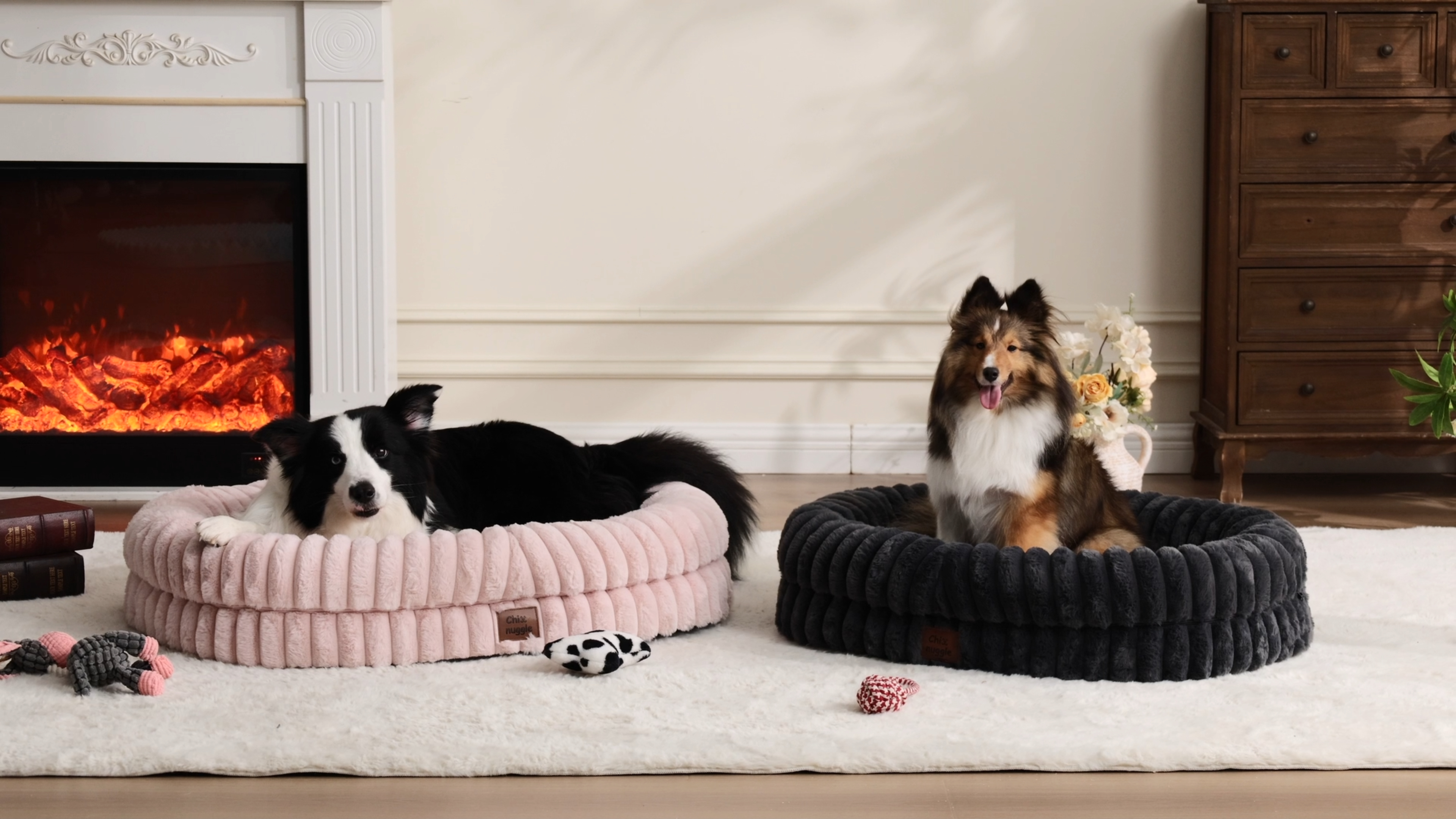 Amazon.com : ChiXnuggle Orthopedic Dog Bed for Medium Dogs