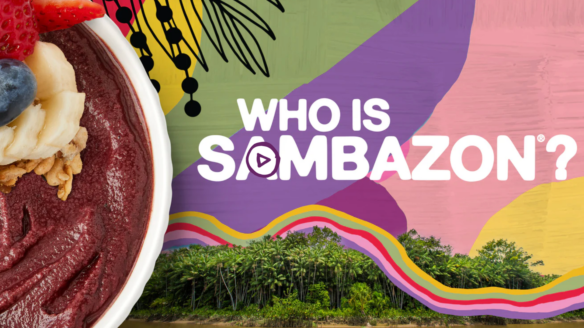 Amazon.com: Sambazon, Acai Bowl Berry Bliss Probiotic Vegan