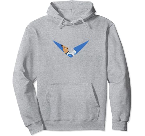 paladin hoodie voltron