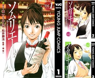 銀座レッスン 全2巻 Kindle版