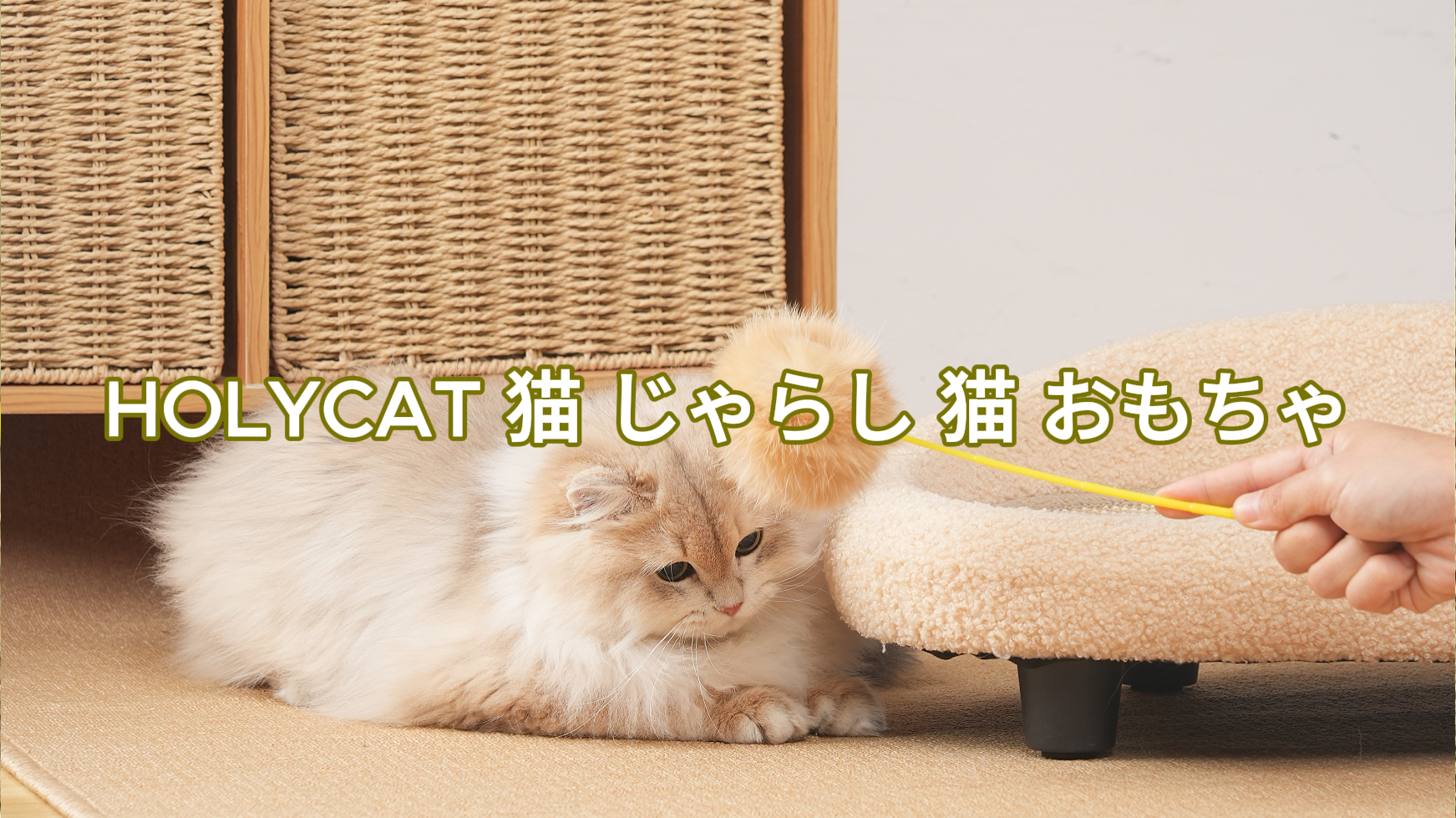 Amazon | HOLYCAT 猫 じゃらし 猫 おもちゃ 猫 遊び 4点セット 頑丈