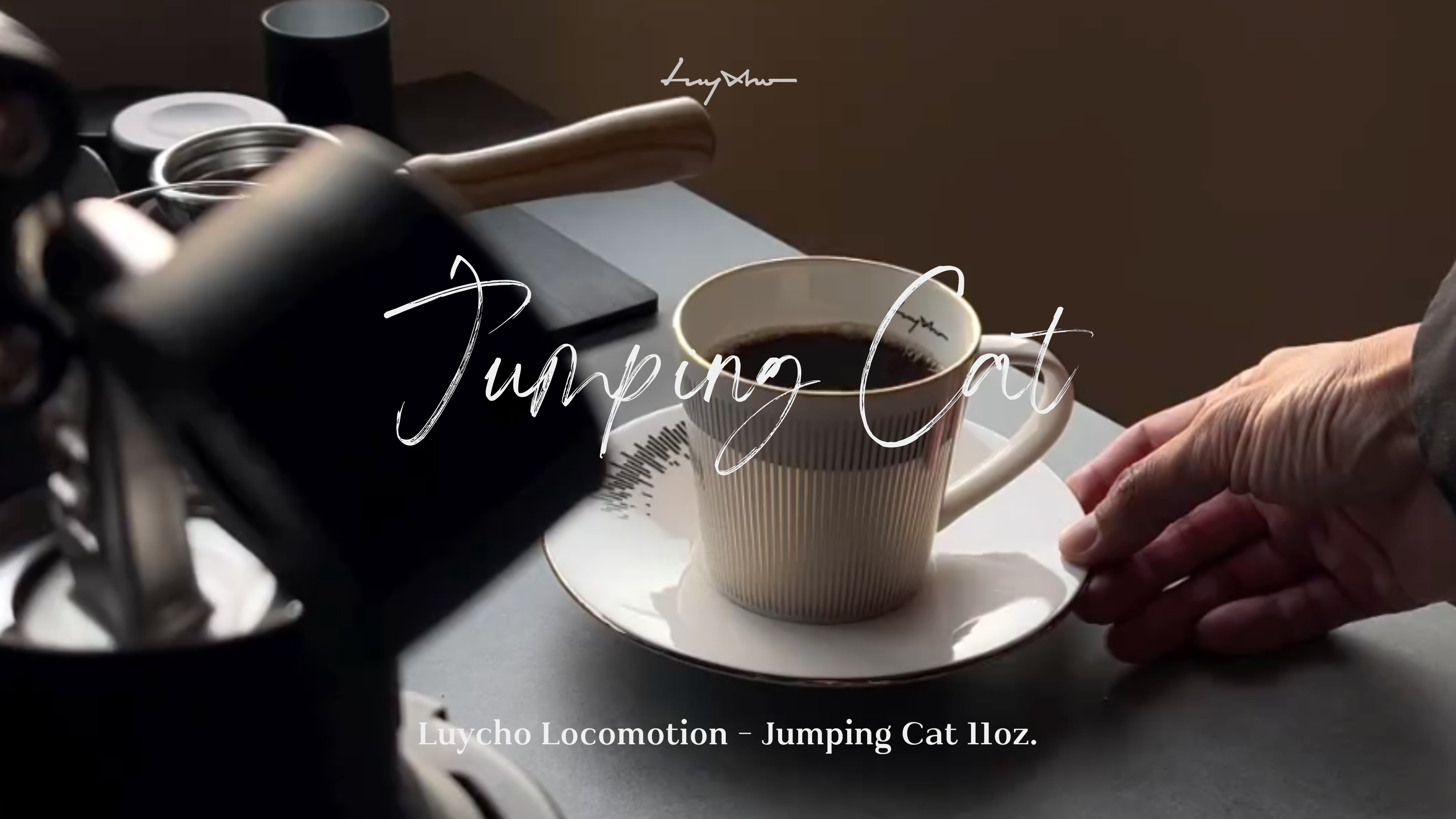 Amazon.com: Luycho Mirror Cup Locomotion The Jumping Cat_11oz