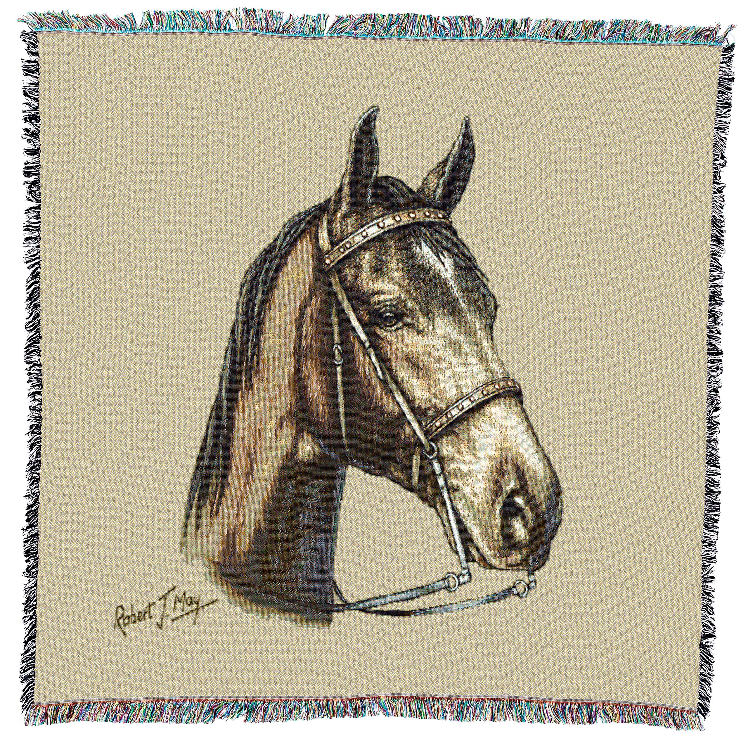 Amazon.com: Pure Country Weavers Tennessee Walking Horse Blanket by Robert  May - Equestrian Gift for Horse Lovers - Lap Square Tapestry Throw Woven  from Cotton - Made in The USA (54x54) :