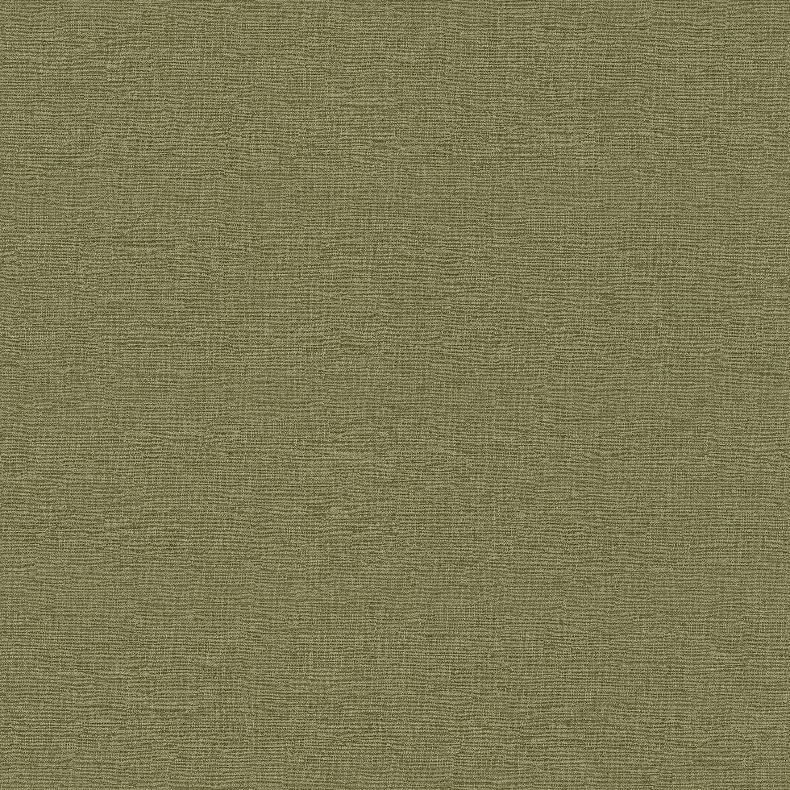 Rasch Kalahari 452068 Non-Woven Wallpaper Universal 10.05 m x 0.53 m Green