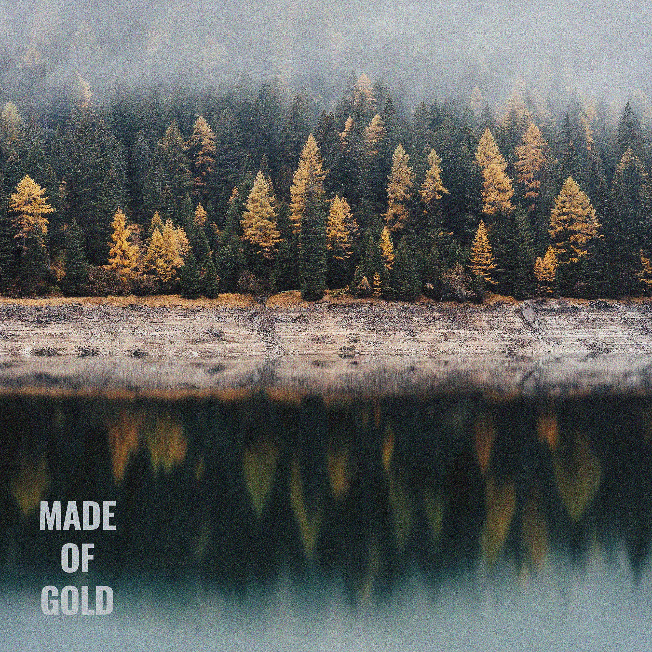Made Of Gold