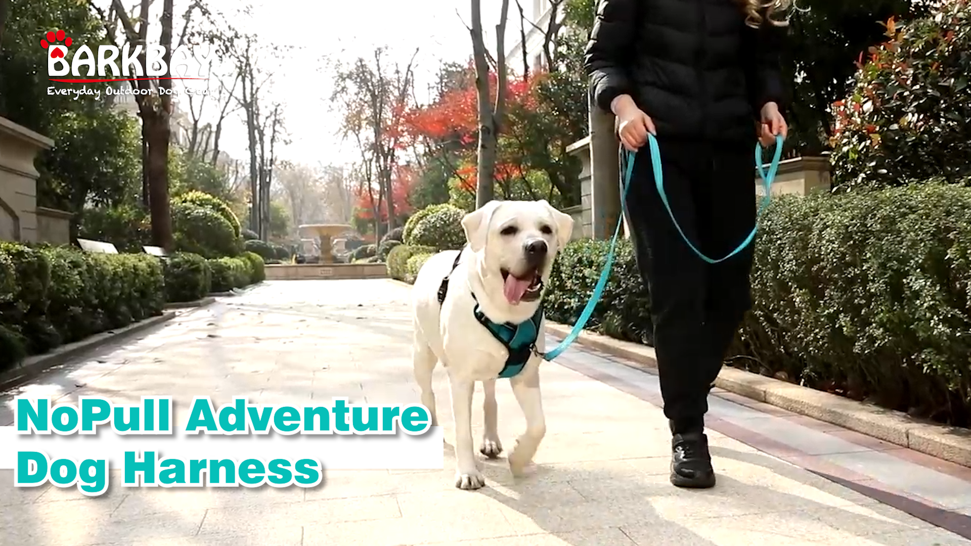 Amazon.com : BARKBAY Dog Harness No Pull for Large Dogs