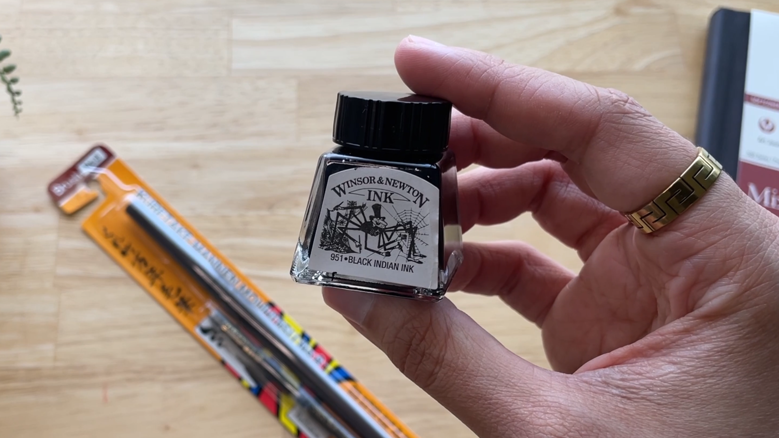 Amazon.com: Winsor & Newton: Drawing Inks