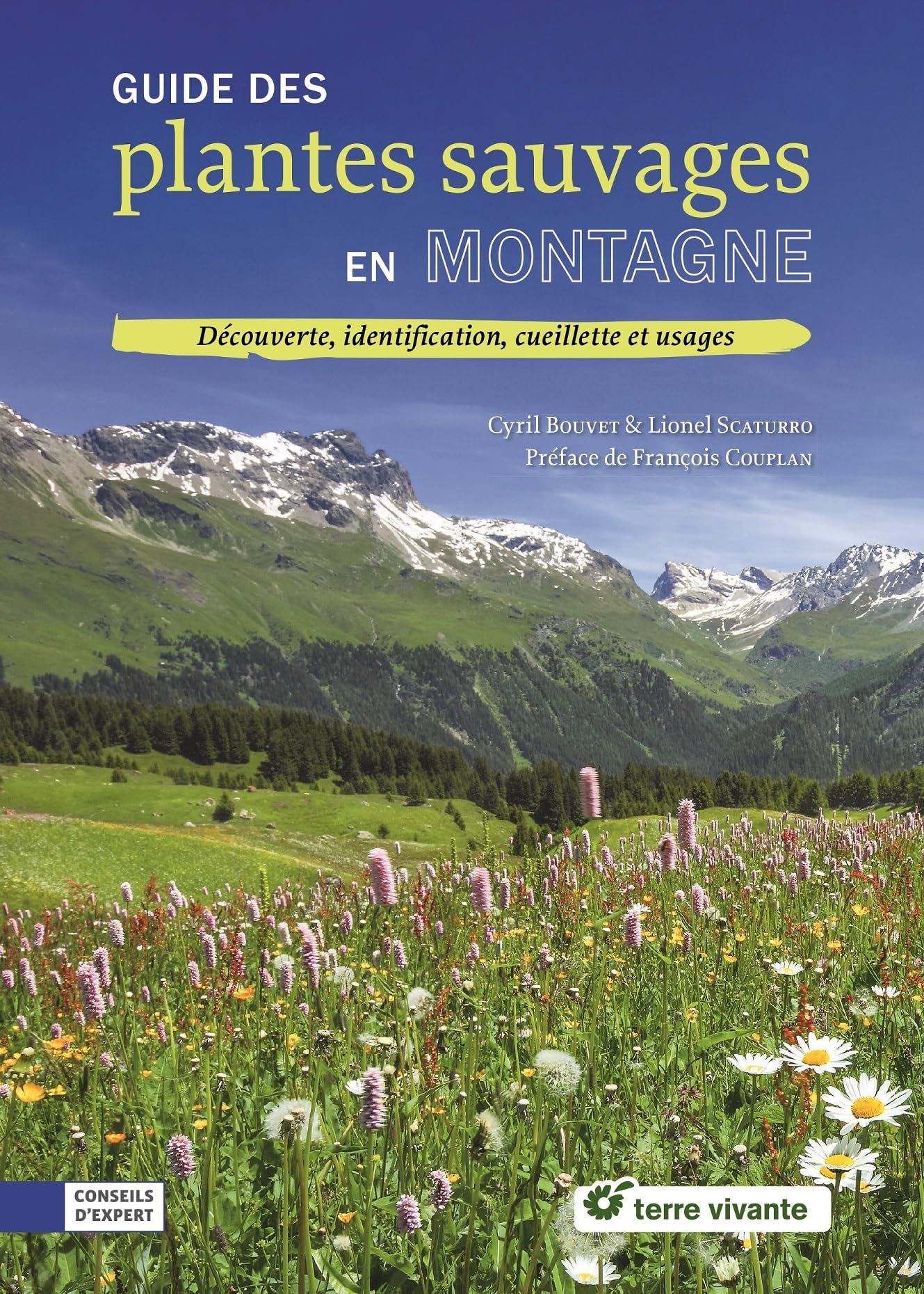 Guide des plantes sauvages en montagne: Découverte, identification, cueillette et usages