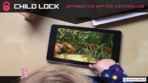 free couple fish aquarium HD - aproveite o romance de peixes em sua TV HDR 4K, TV 8K e dispositivos