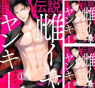 伝説の雌イキヤンキー 全7巻 Kindle版