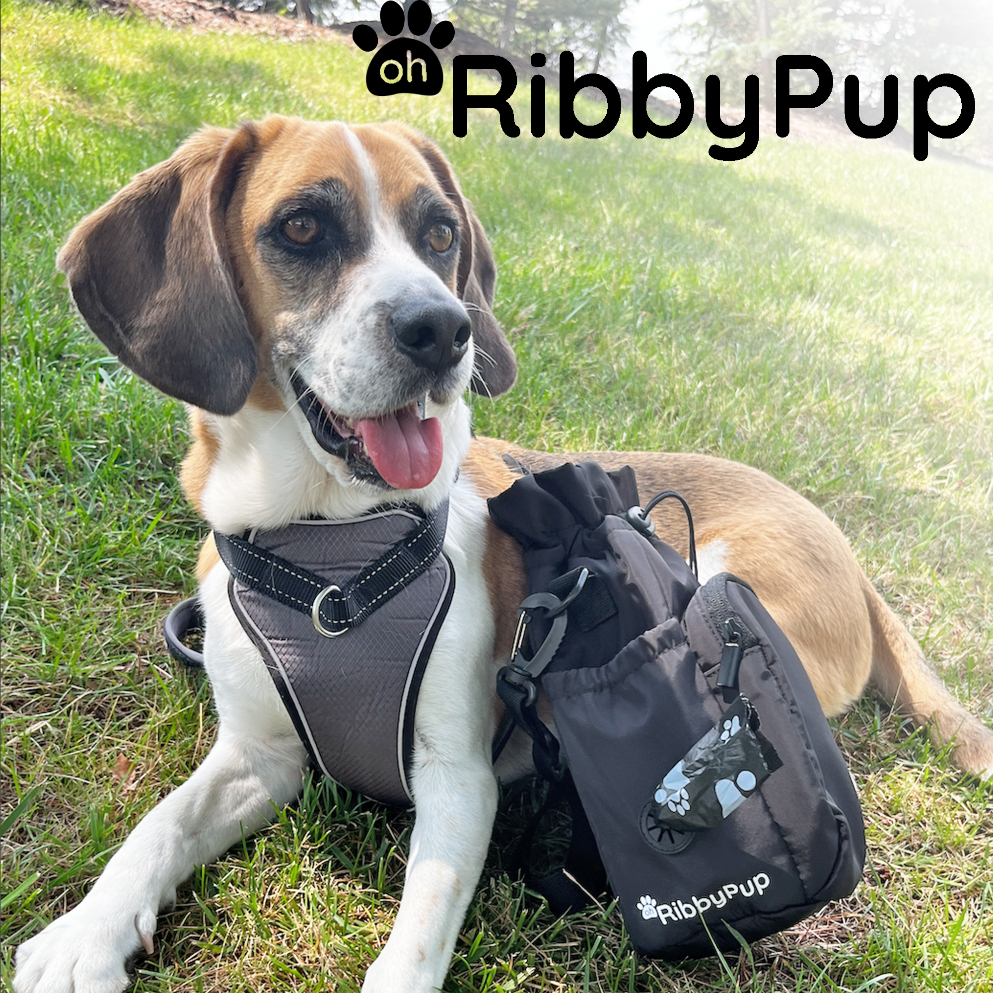 Amazon.com: RibbyPup Waterproof Dog Walking Bag With Universal