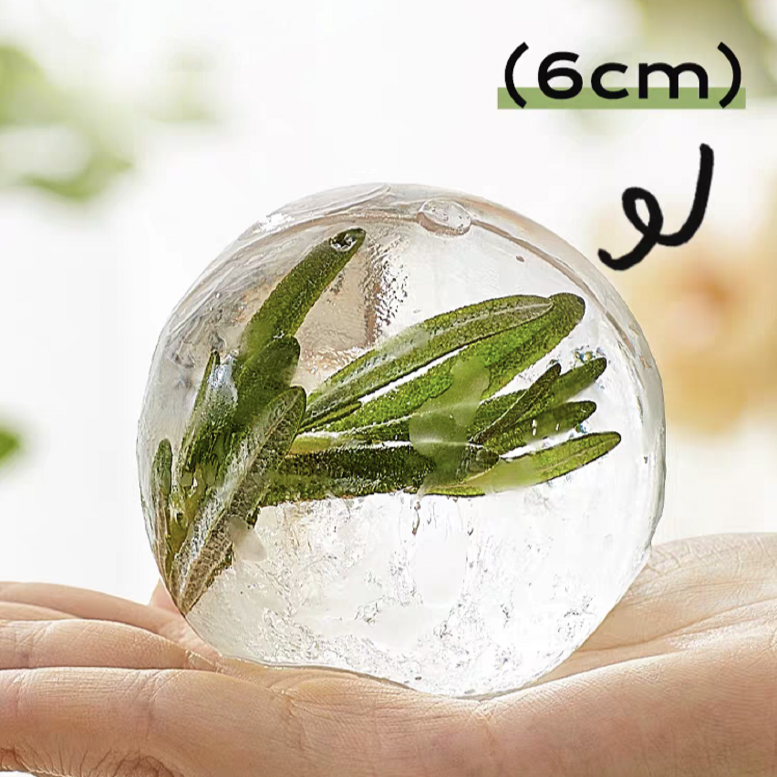 Molde de Hielo Redondo Set de 2 con Tapa 6 cm miniatura 7