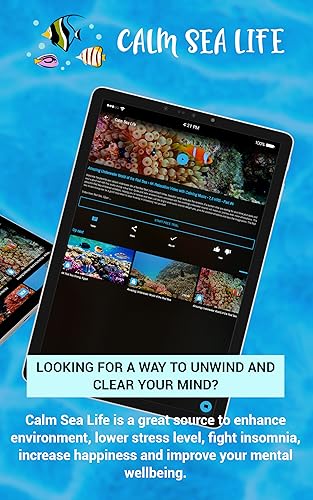 Calm Sea Life - Vídeos de Aquário e Relaxamento Subaquático