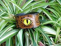 Review Image by Bird Bird