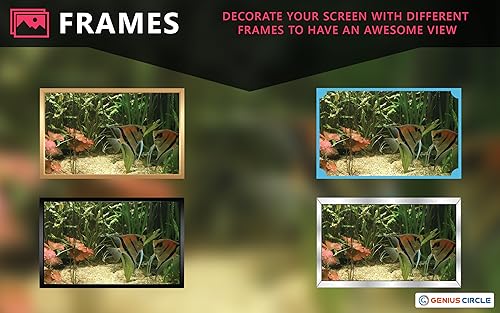 free couple fish aquarium HD - aproveite o romance de peixes em sua TV HDR 4K, TV 8K e dispositivos