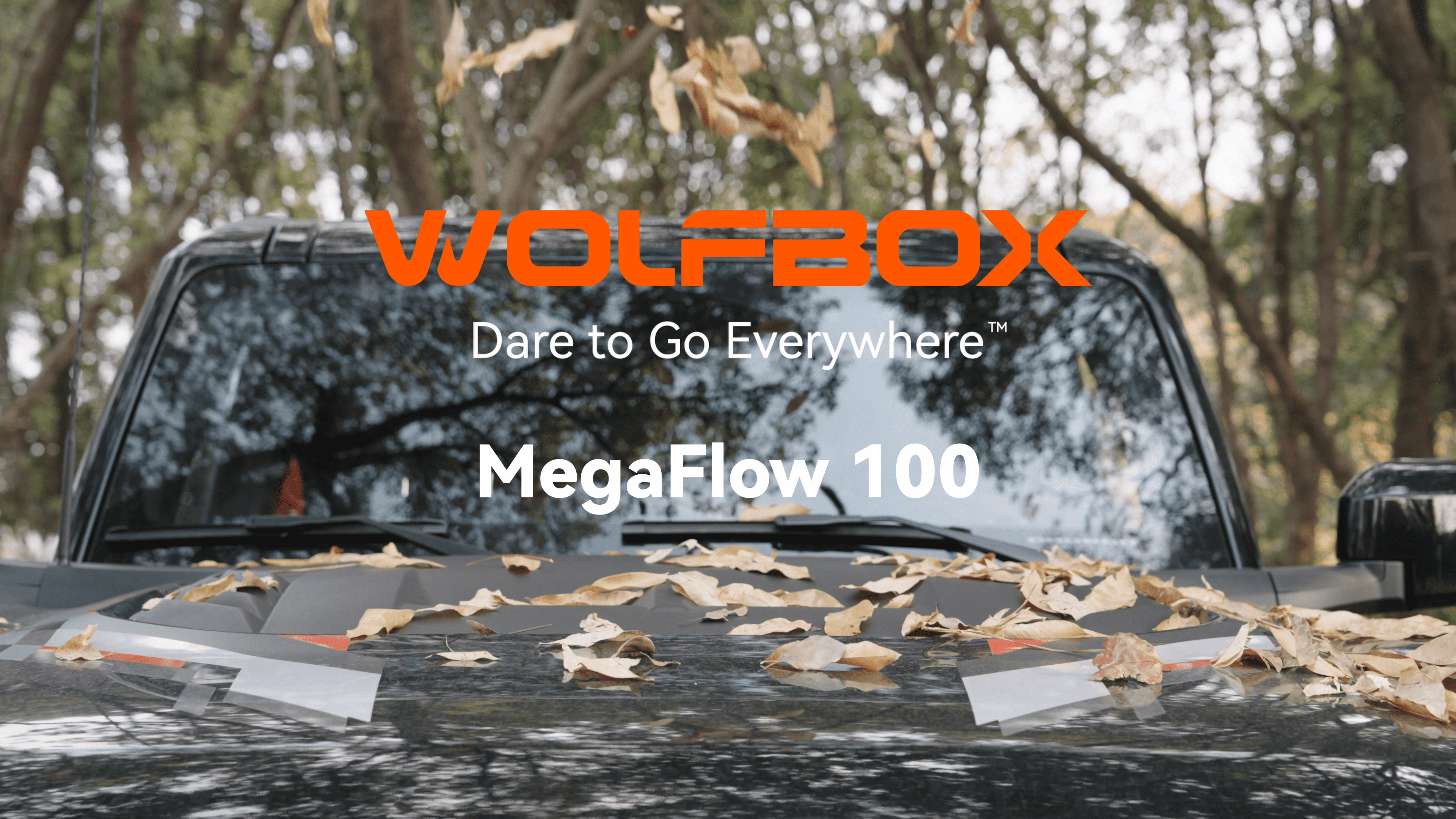 Amazon.com: WOLFBOX MF100 Compressed Air Duster, 150000RPM Turbo