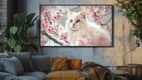 Jazz relaxant pour chats - Chatons joueurs et mélodies douces – vue 7