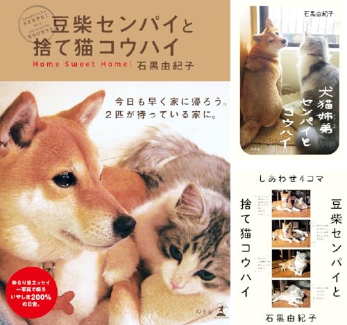 センコウシリーズ