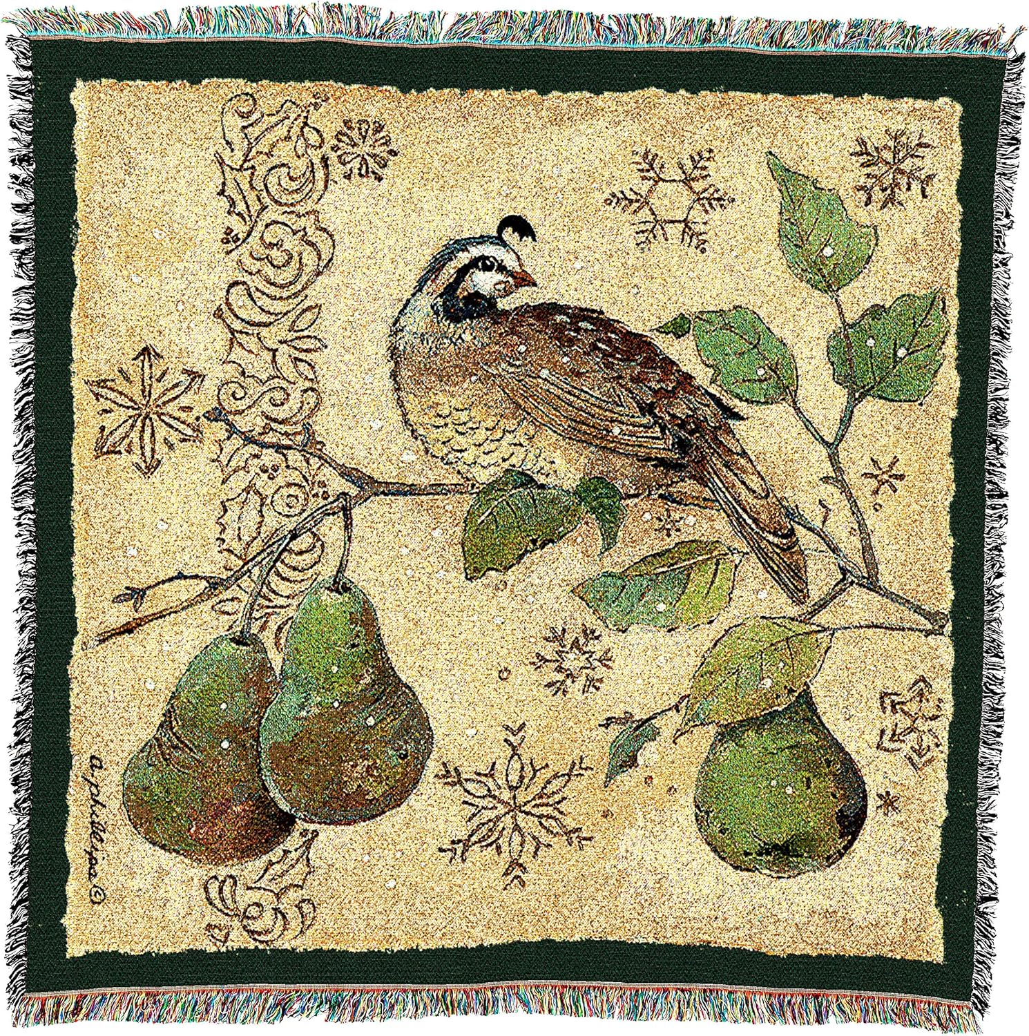 Pure Country Weavers Partridge and Pears Blanket by Anita Phillips - Gift Christmas Lap Square Tapestry Throw Woven from Cotton - Made in The USA (54x54)
