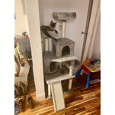 6 ft tall cat tree