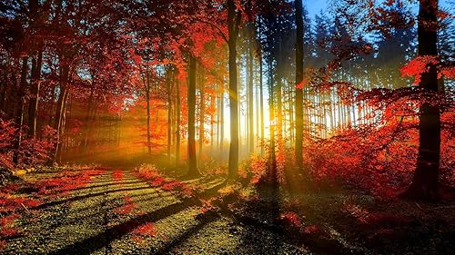 Tv Guide App With Live Channels #TOP1