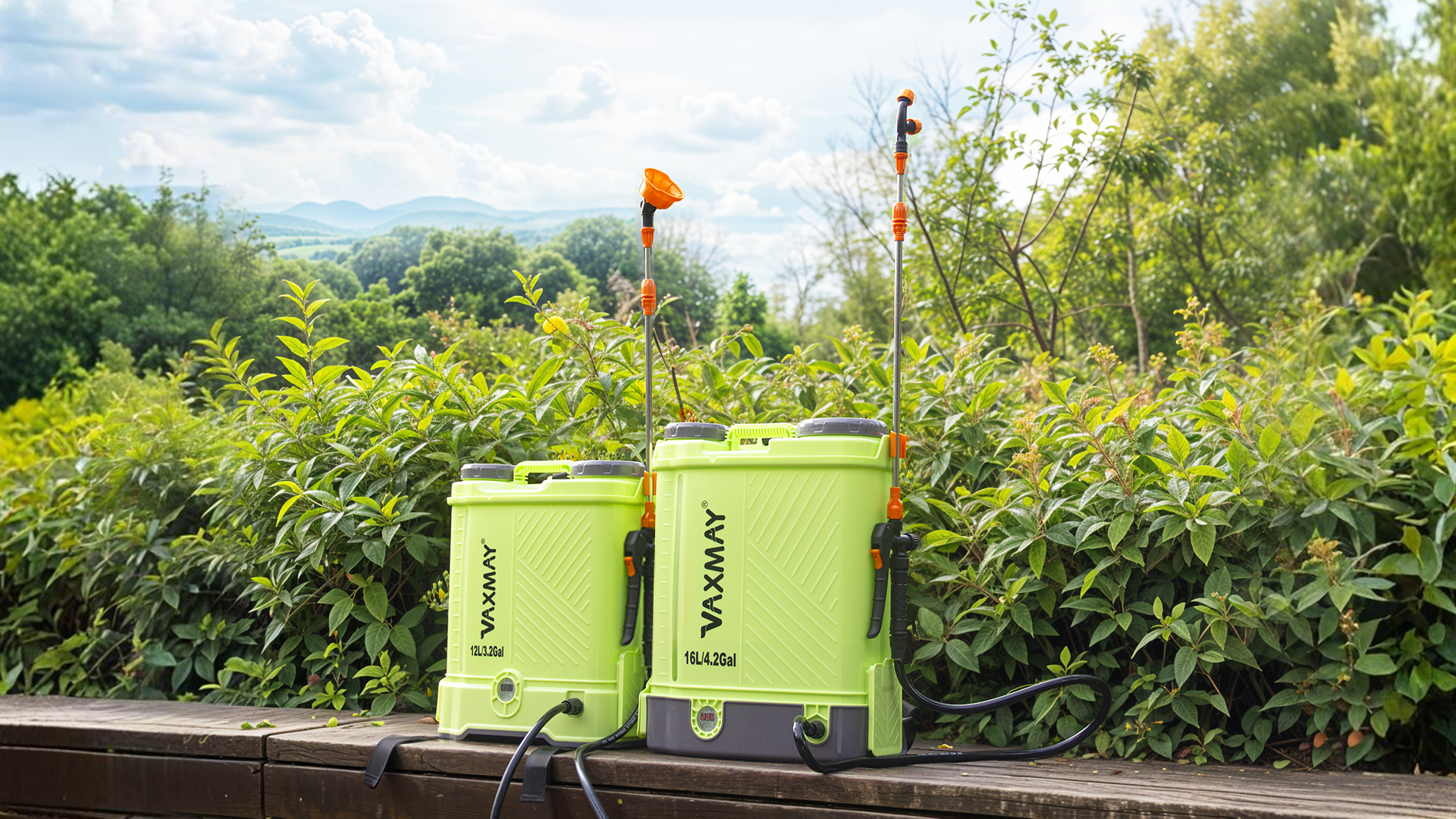 HARUKA　キャバン　ライトグリーン　S 82V 60