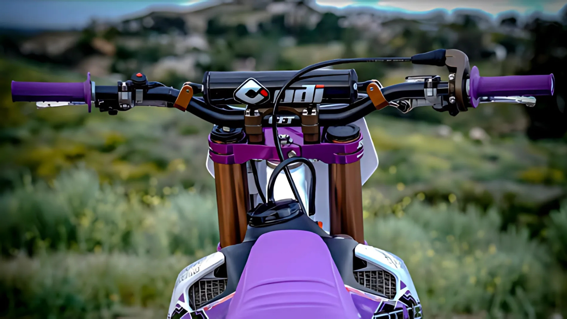 Amazon.com: ODI MX V2 Lock-On Half Waffle Grip - Purple Motocross