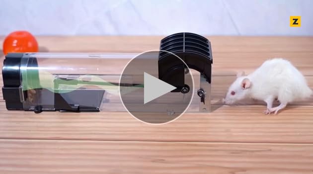 Zulaxy Rat Trap Cage for Home, Garden & Warehouse | 32cm Smart