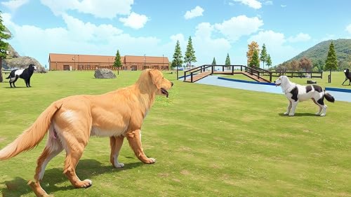 Virtual Pet Puppy Shelter Care Game - PREMIUM