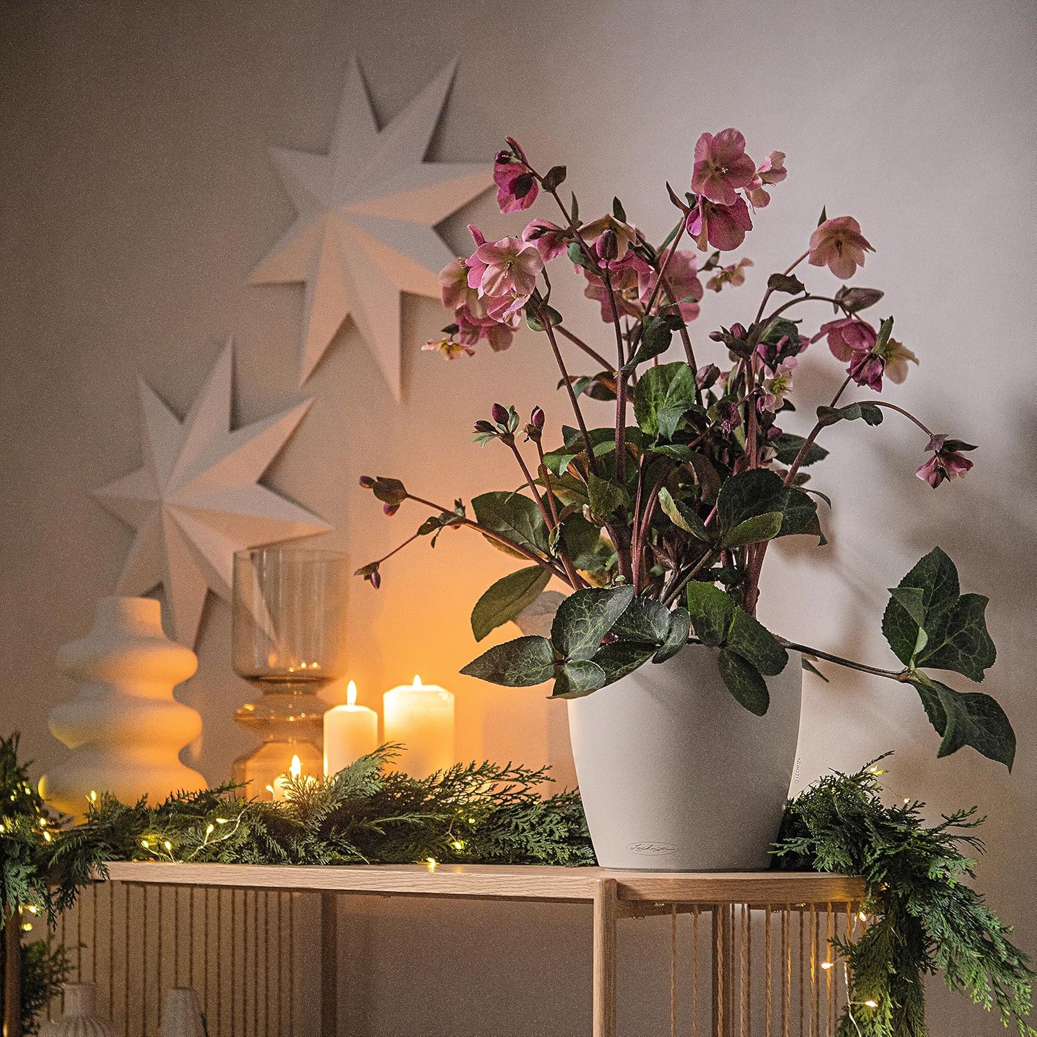 Lechuza Classico Color 21 Sand Brown, Self-Watering Small Round Planter, D8.3 H7.9 in