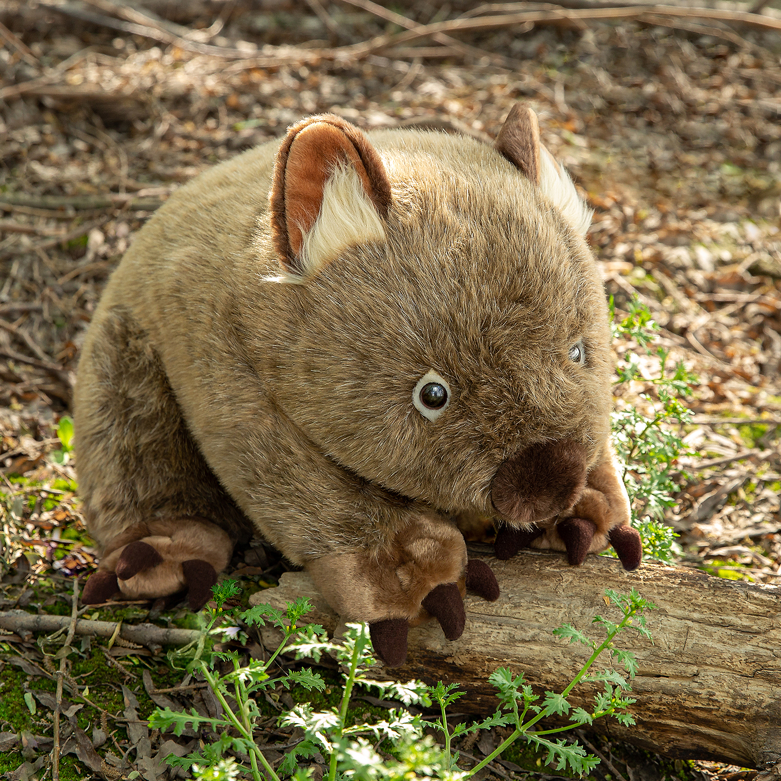 Amazon.com: Frankiezhou Home Lifelike 12' Wombat Stuffed Animal