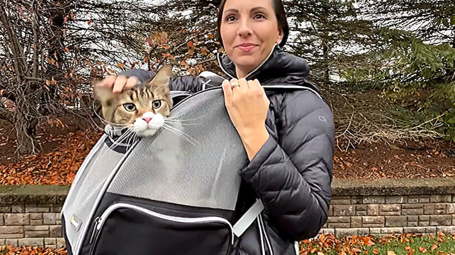 Amazon.com : Texsens Innovative Traveler Bubble Backpack Pet Carriers for Cats and Dogs (Expandable-Black) : Pet Supplies Amazon.com : Texsens Innovative Traveler Bubble Backpack Pet Carriers for Cats and Dogs (Expandable-Black) : Pet Supplies