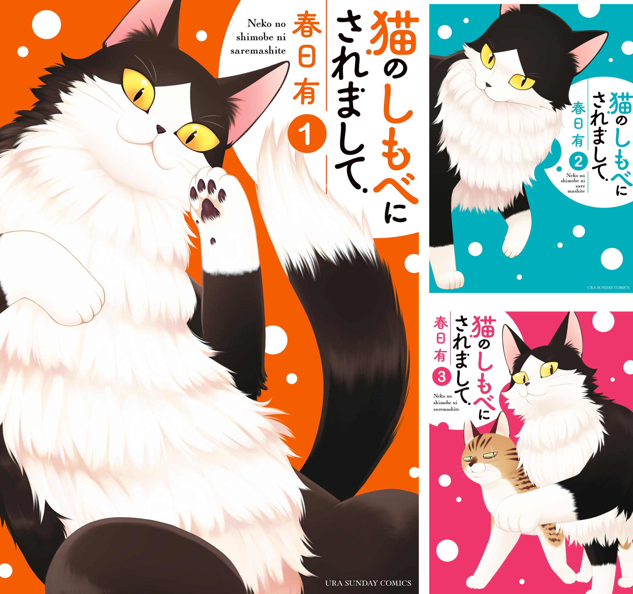 猫のしもべにされまして (全4巻) Kindle版