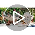 Lazy Daze Hammocks 12 FT Double Quilted Fabric Hammock with Spreader Bars and Detachable Pillow, 2 Person Hammock, 450 LBS Weight Capacity, Burgundy
