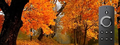 Cozy Early Morning Autumn Sounds | Crunchy Leaves & Peaceful Fall Music