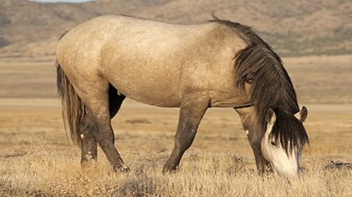 JA Media Productions