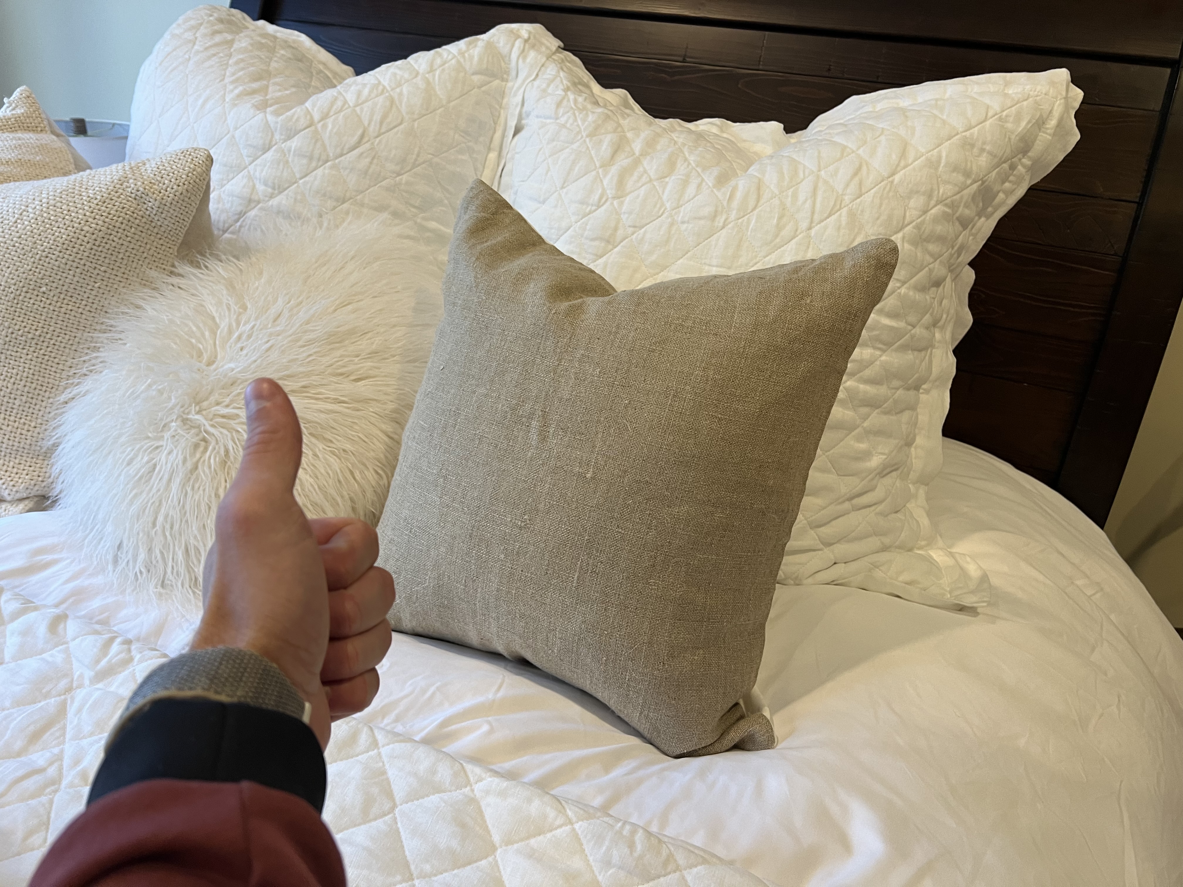 Super Cute Throw Pillows! REVIEW
