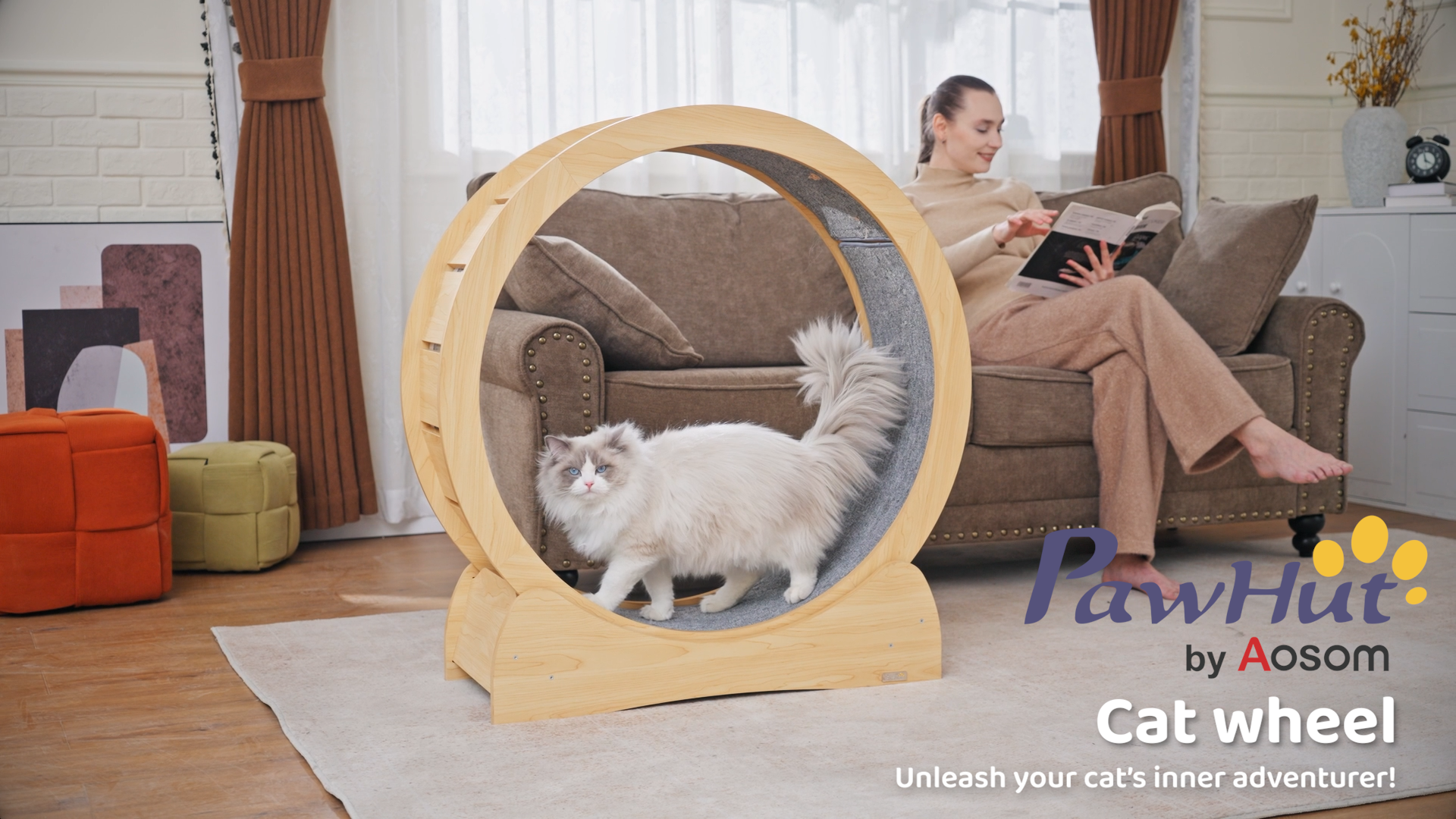Feline's Diy Cat Wheel Indoor Exercise Diy Cat Running Wheel