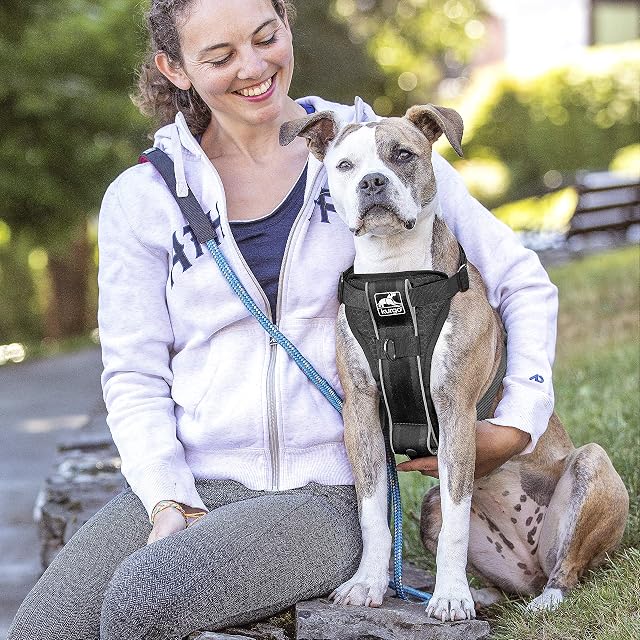 Foto 4 de 8 de Kurgo Tru-Fit - Arnés de Paseo para Perros, A Prueba de Choques, Incluye Correa para Cinturón de Seguridad