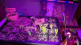 Review Image by Marc Marc