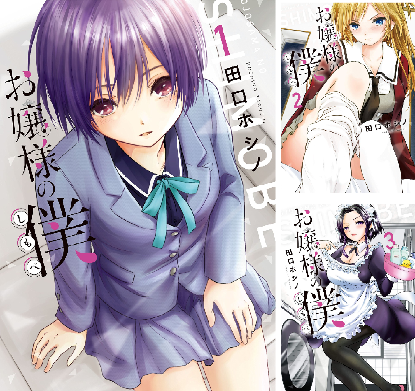 田口ホシノ『お嬢様の僕 全18巻』講談社 SKC シリウスコミックス B1cSsiG9XiS.png