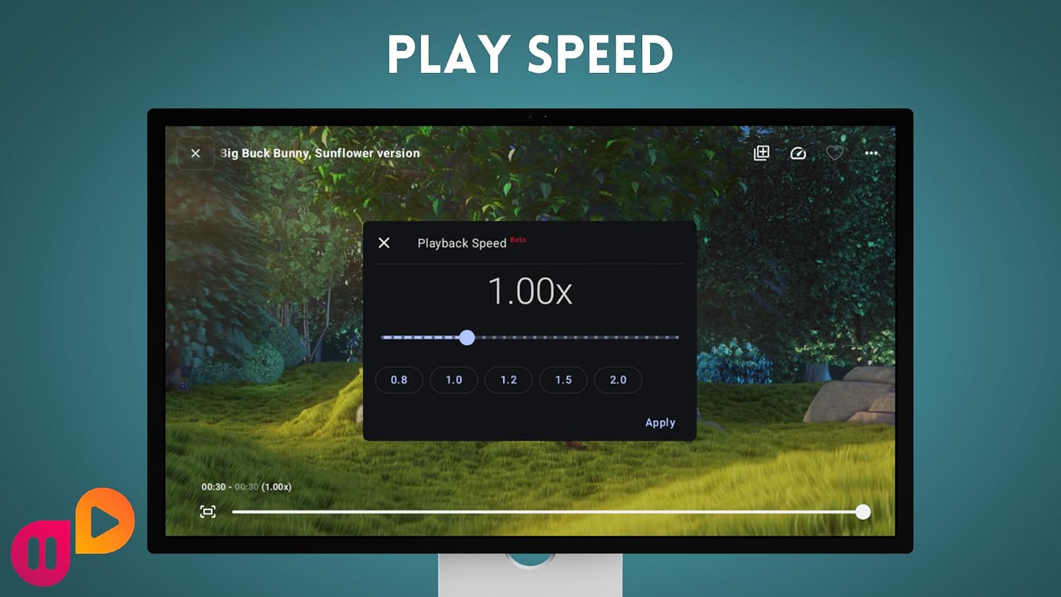 Vue 6