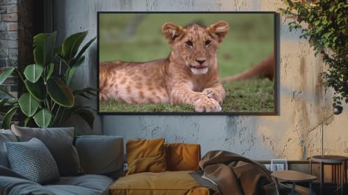 Ambiance safari africain - Paix des prairies sauvages de la savane – vue 4