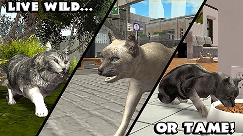 image for Gluten Free Games Ultimate Cat Simulator