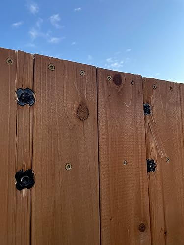 Review Image by Dylan Neiman