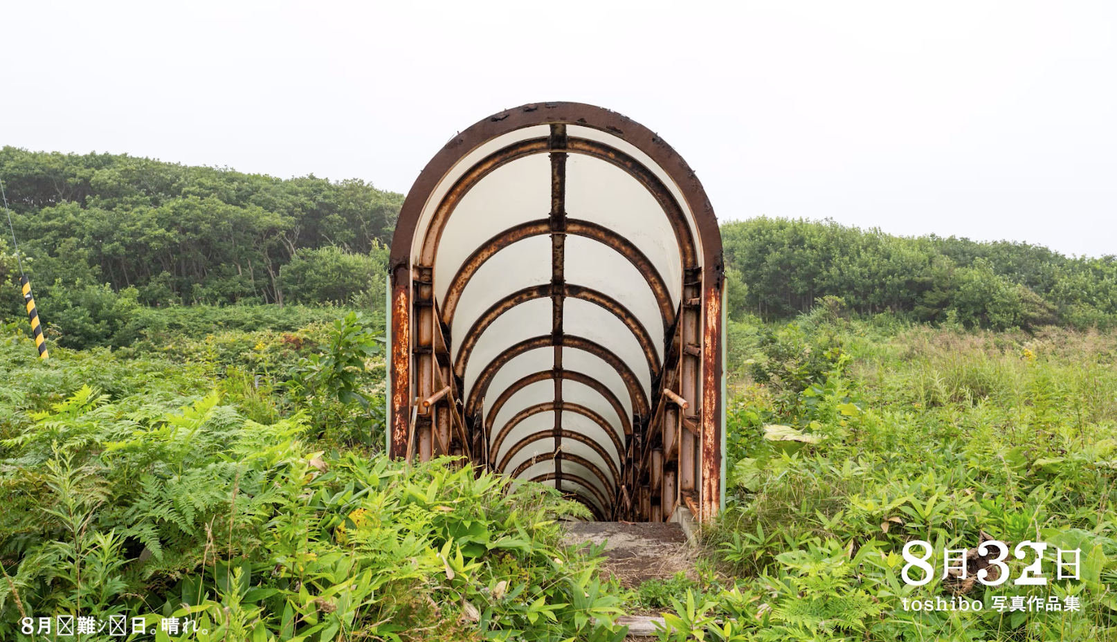 8月32日 toshibo写真作品集 | toshibo |本 | 通販 | Amazon