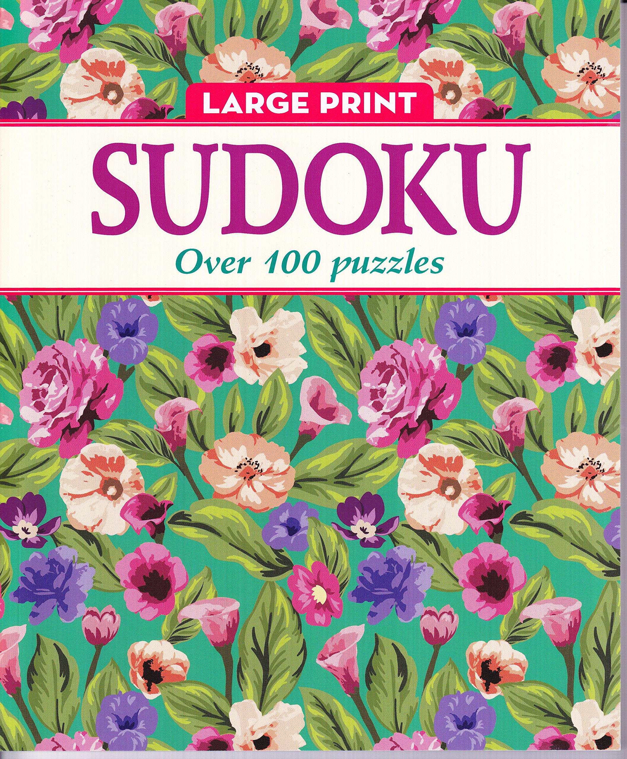 Elegant Large Print Sudoku
