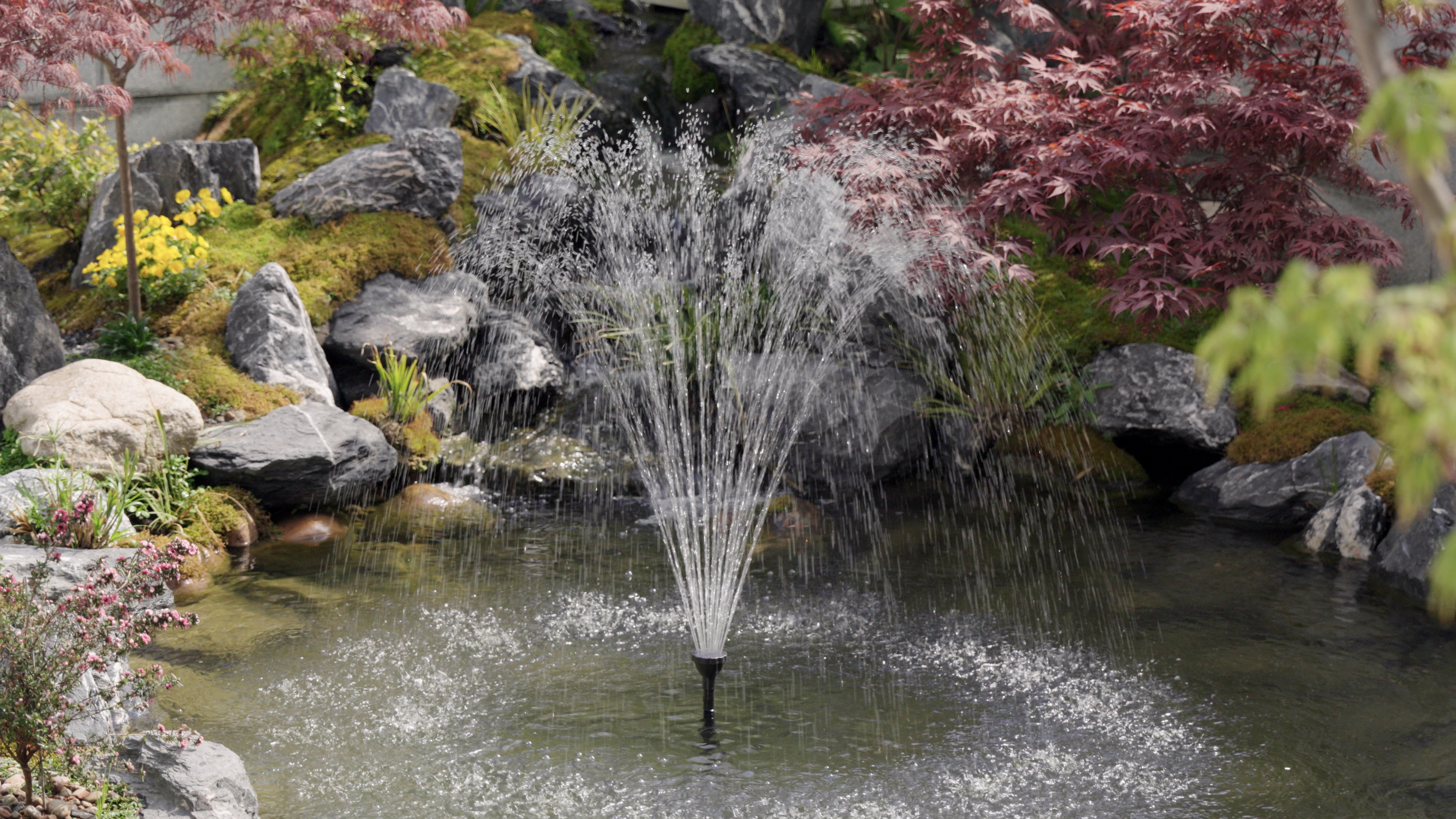 Amazon.com: POPOSOAP Pond Filter with Pump Fountain Kits Built-in