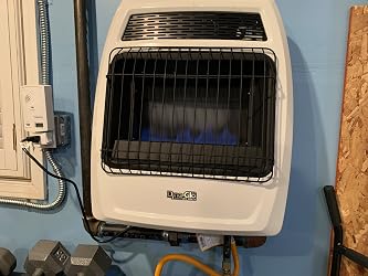 Amazon.com: Dyna-Glo BFSS20NGT-2N 20,000 BTU Natural Gas Blue Flame  Thermostatic Vent Free Wall Heater, White : Tools u0026 Home Improvement